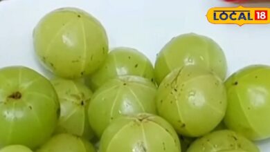 Health Tips: 1OO बीमारियों का रामबाण इलाज है इस फल का एक दाना, बस सुबह-सुबह खाएं खाली पेट