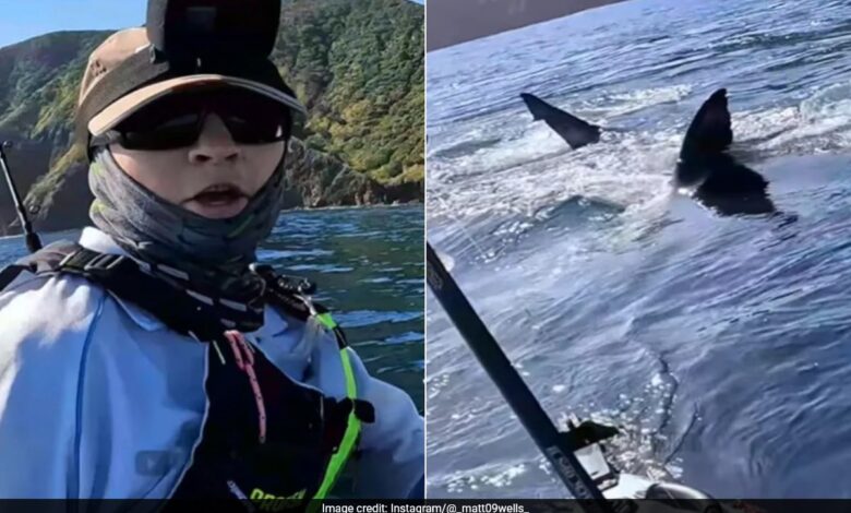 New Zealand Teen Records Terrifying Encounter With Great White Shark: "My Main Worry Was..."