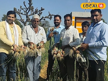 शेखावाटी