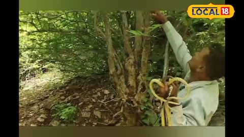 सर्परक्षक