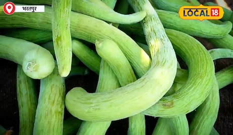 ककड़ी