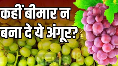 अंगूरों को स‍िर्फ पानी से धो कर तो नहीं खा रहे आप? शरीर में जहर बन जाएगा इसका केम‍िकल, जानें साफ करने का सही तरीका