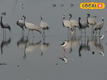 इस
