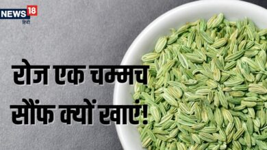 खाने के बाद आप भी चबाते हैं सौंफ? फायदे जानकर रह जाएंगे हैरान