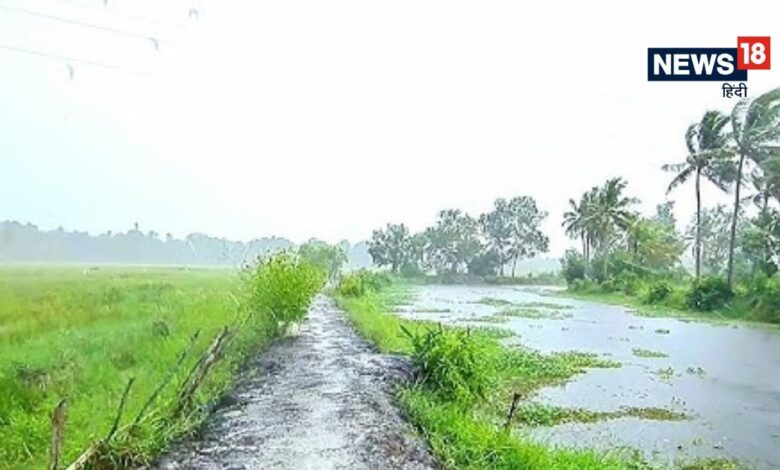 देश भर में मौसम बदलाव: दिल्ली में बादल, बिहार में बारिश, कश्मीर में बर्फबारी
