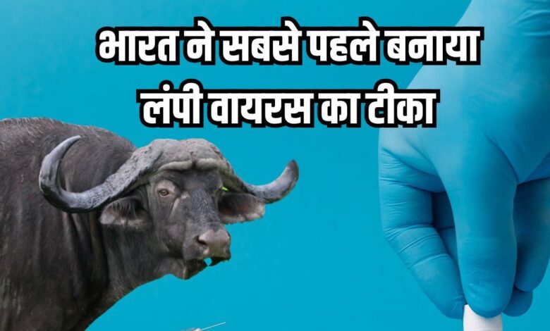 भारत बायोटेक ने बनाई दुनिया की पहली लंपी डिजीज वैक्सीन, ड्रग कंट्रोलर की मंजूरी, मवेशियों में होती है यह बीमारी