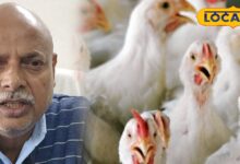 विभाग का अलर्ट! H5N1 बर्ड फ्लू ने झारखंड में मचाई हलचल, एक्सपर्ट से जानें कैसे करें बचाव