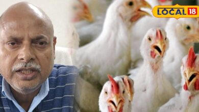 विभाग का अलर्ट! H5N1 बर्ड फ्लू ने झारखंड में मचाई हलचल, एक्सपर्ट से जानें कैसे करें बचाव