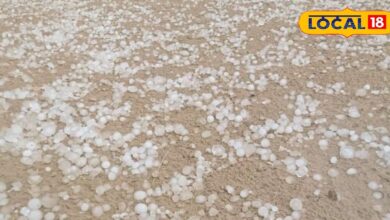 The weather was pleasant since morning, hail fell at many places till late night, standing crops were ruined.