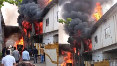 Massive Fire Erupts In Chemical Factory In Madhya Pradesh Capital