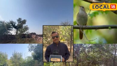 These youth gave a unique message of environment on their valuable land worth crores, developed a forest away from the city in the name of Bird Heaven.