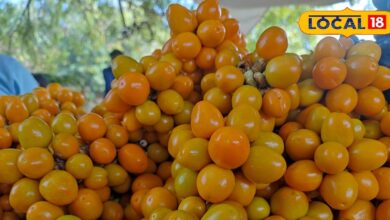 This sweet and sour fruit is the favorite of women, eating it cures many diseases.