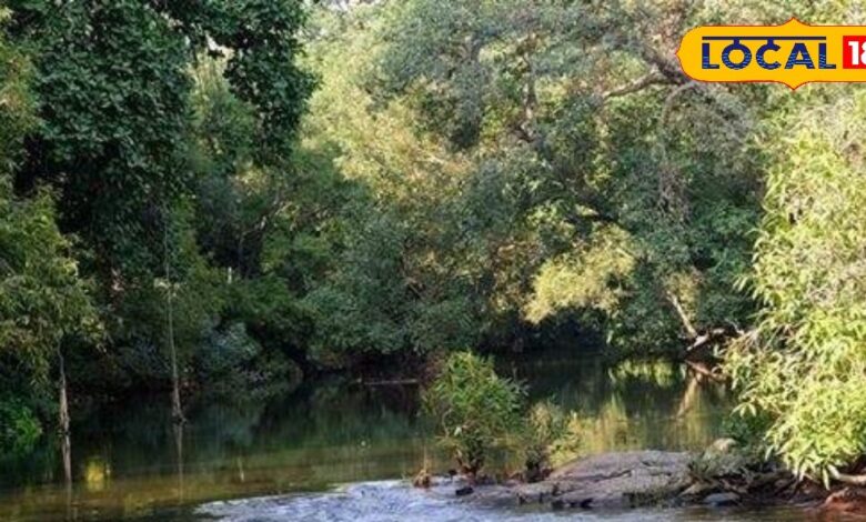 Experience Nature's Beauty in Udaipur's Sanctuaries, Enjoy Adventure Sports Activities – News18 हिंदी