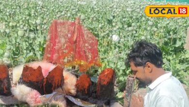 Black Gold Farmers have religious faith in farming install idol of Mata