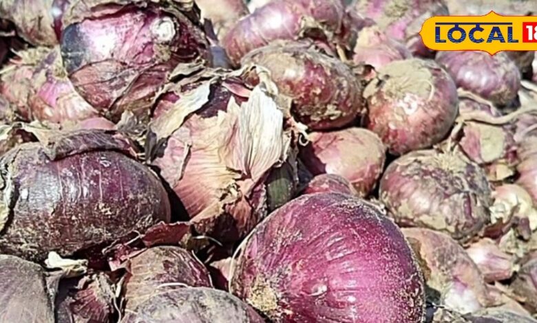 कई महीनों तक नहीं सड़ेगा प्याज, किसानों के लिए वरदान है ये तकनीक, पैसों से भर जाएगा घर