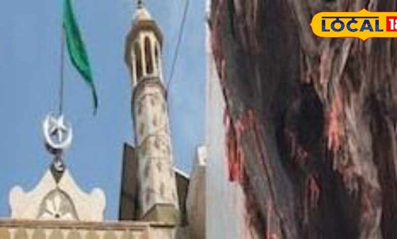 Ramjan Special: 1000 साल पुराना इमली का चमत्कारी पेड़, धागा बांधकर पूरी होगी मिन्नत, रमजान में लगती है जायरीनों की भीड़