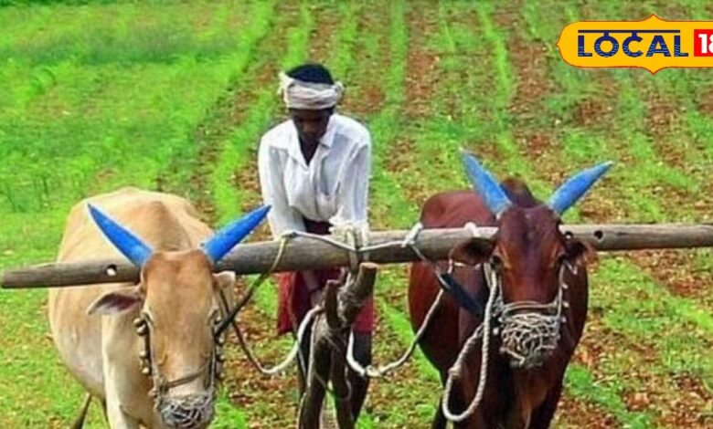राजस्थान के किसानों को 8 हजार की जगह मिलेंगे 9 हजार रुपए, राज्य सरकार देगी 3000, पशुपालकों को भी मिलेगा लोन