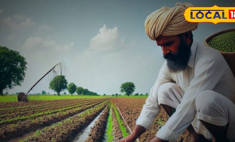 किसान गर्मी में खाली खेतों को बनाएं आमदनी का जरिया, करें इस फसल की खेती, मिलेगी बंपर पैदावार