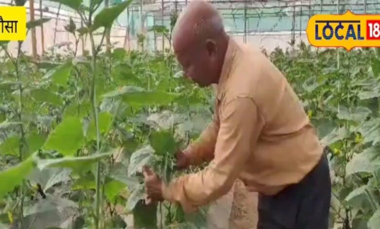 4 महीने लगते हैं इस फसल में, 4 लाख ही होती है कमाई, इस तकनीक से की गई खेती किसान के लिए है वरदान