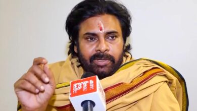 Pawan Kalyan Amid Hindi Row