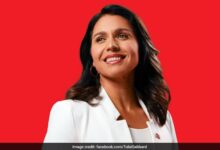 Bhagavad Gita Teaches Me "Strength And Peace", Says Tulsi Gabbard