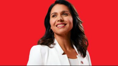 Bhagavad Gita Teaches Me "Strength And Peace", Says Tulsi Gabbard