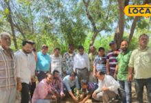 A noble initiative in Ramadan, trees were planted in the cemetery on the birthday of Advocate Salim Javed.... – News18 हिंदी