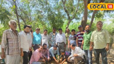 A noble initiative in Ramadan, trees were planted in the cemetery on the birthday of Advocate Salim Javed.... – News18 हिंदी