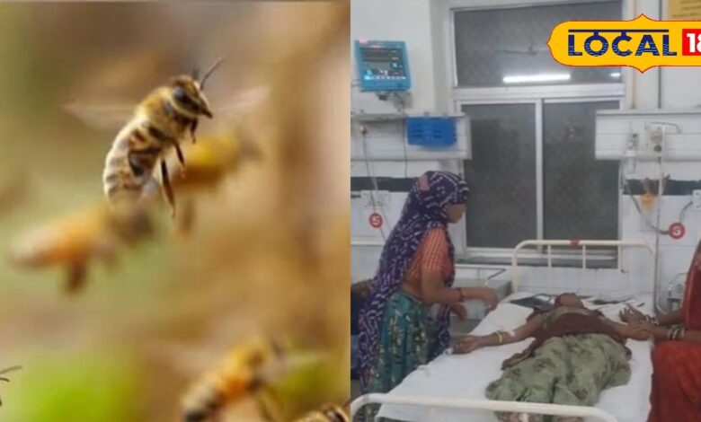 इस गांव में बढ़ा मधुमक्खियों का आतंक, हमला ऐसा कि लोग बिस्तर डालकर बचा रहे जान! जानें पूरा माजरा
