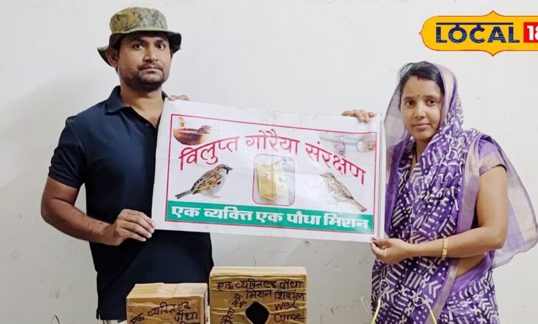 गौरेया के बचाव की अनोखी मुहिम, वेस्ट से बने घरों में छिपा है जीवन का एक बड़ा राज! बचा रहे हैं विलुप्त पक्षी