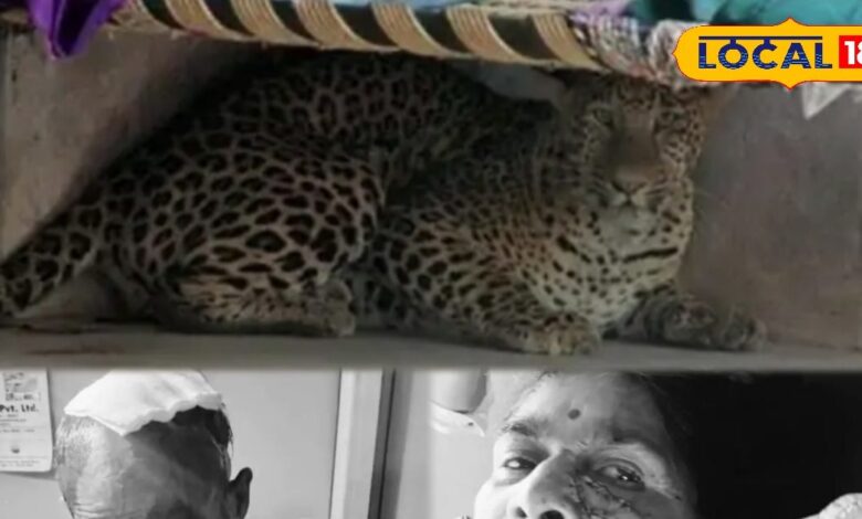 जालोर में 9 घंटे चला रेस्क्यू ऑपरेशन..घर में घुआ तेंदुआ..दो लोगों को कर दिया घायल, फिर कमरे में छिप गया