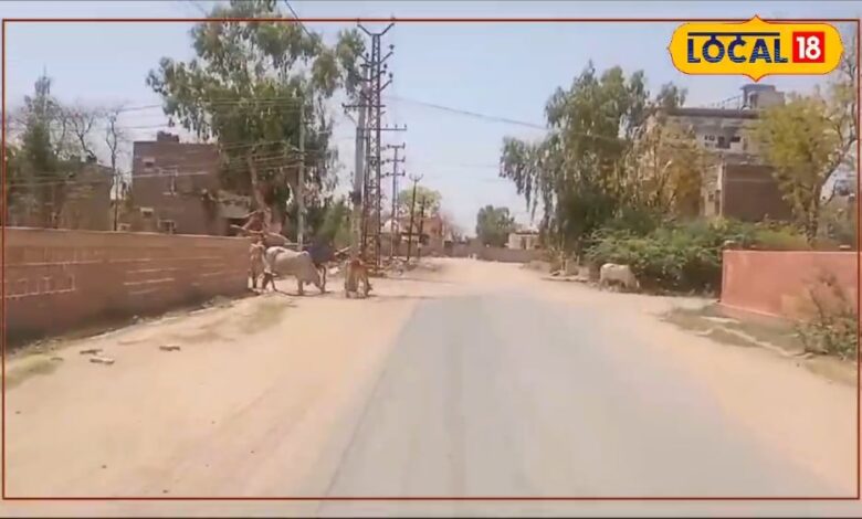 बिहार में दो दिग्गजों की लड़ाई में किसके हाथ लगेगी मलाई, पढ़ें Inside स्टोरी