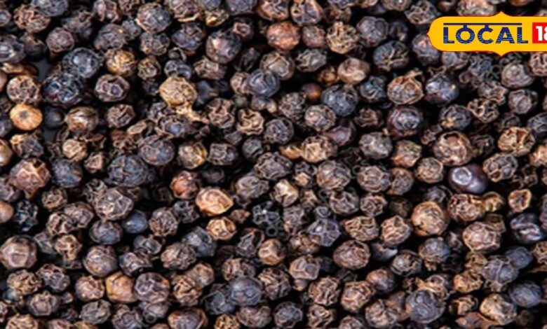 रसोई में रखा ये मसाला डायबिटीज और कैंसर का है काल, सर्दी-जुकाम में भी है असरदार, इम्यूनिटी भी रखता है स्ट्रांग