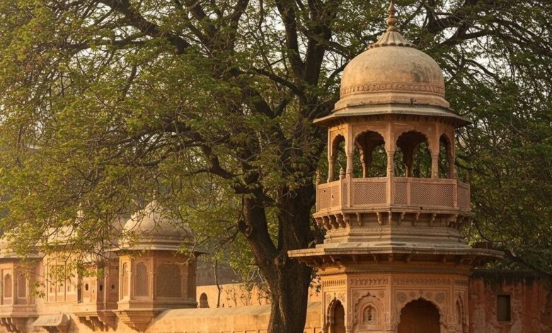 Rajasthan News Live : आज आएगा जयपुर बम ब्लास्ट केस में फैसला, बृज विवि भरतपुर के कुलपति सस्पेंड