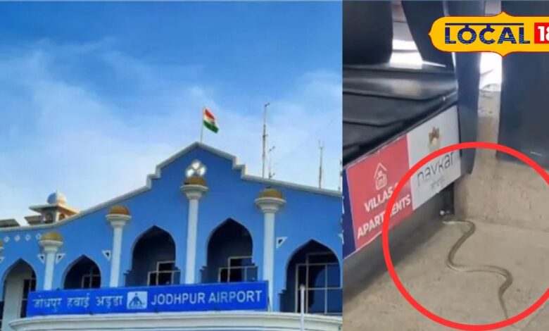 जोधपुर एयरपोर्ट पर सांप दिखने से मची अफरा-तफरी.