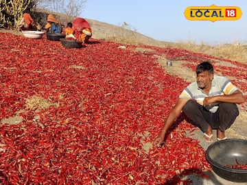 सिलवणी