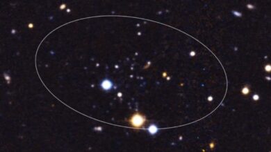 Smallest Galaxy Ever Found: Andromeda XXXV Defies Cosmic Evolution Models