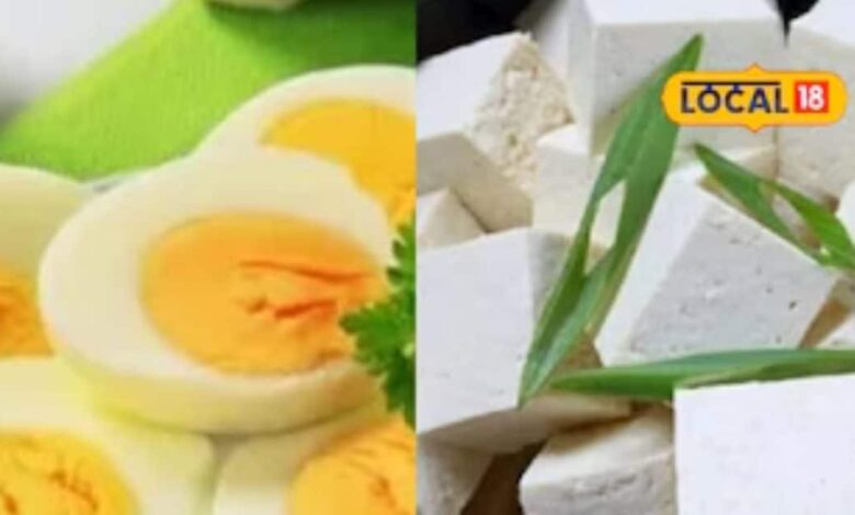 अंडा या पनीर – गर्मियों में कौन बना सकता है आपको फिट? एक्सपर्ट से जानें