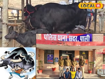 भैंस