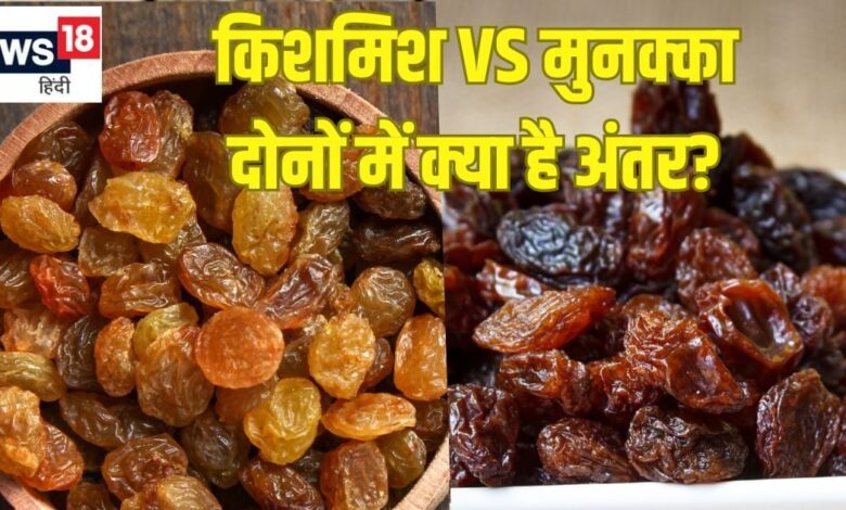 क्या किशमिश और मुनक्का दोनों एक है? 90% लोगों को नहीं पता होगा अंतर