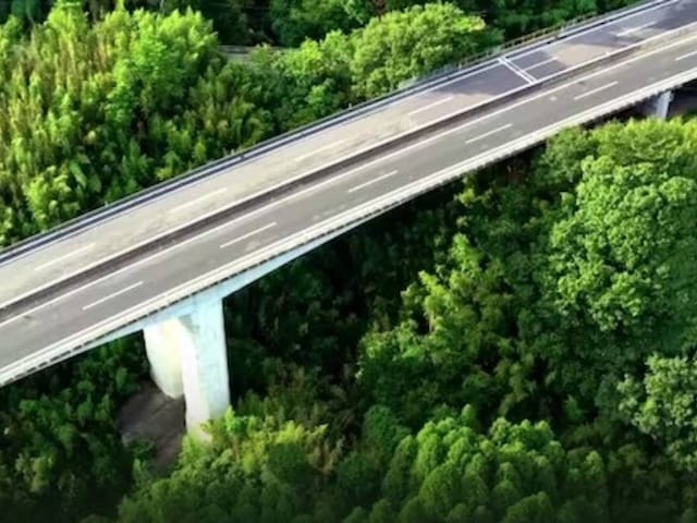 जयपुर से अलवर की दूरी होगी कम, सरिस्का एलिवेटेड रोड पूरा करेगा यह सपना