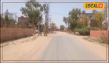 गर्मी