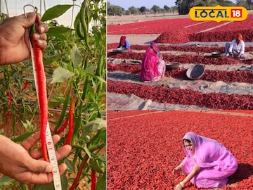 मथानिया