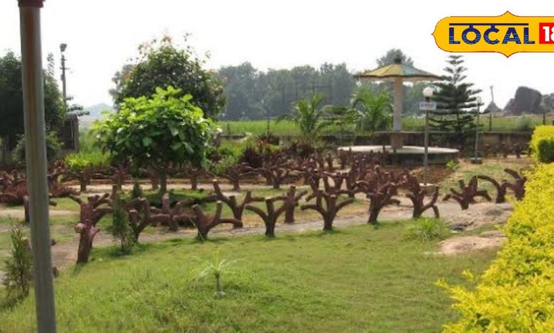 रोजगार से स्वास्थ्य तक! गिरिडीह में बन रहा है झारखंड का पहला मेडिसिन प्लांट, जहां औषधीय पौधों से होगा इलाज