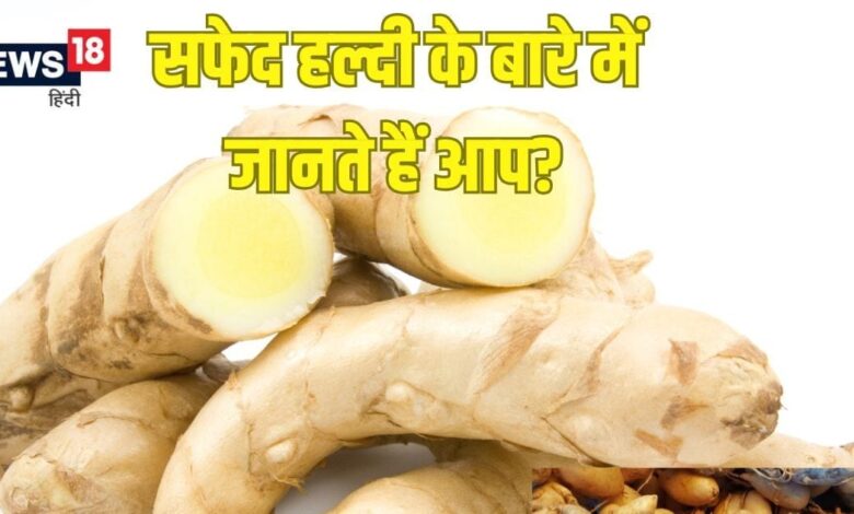 सफेद हल्दी (कचूर) के फायदे, कैंसर, पाचन और त्वचा समस्याओं में लाभदायक