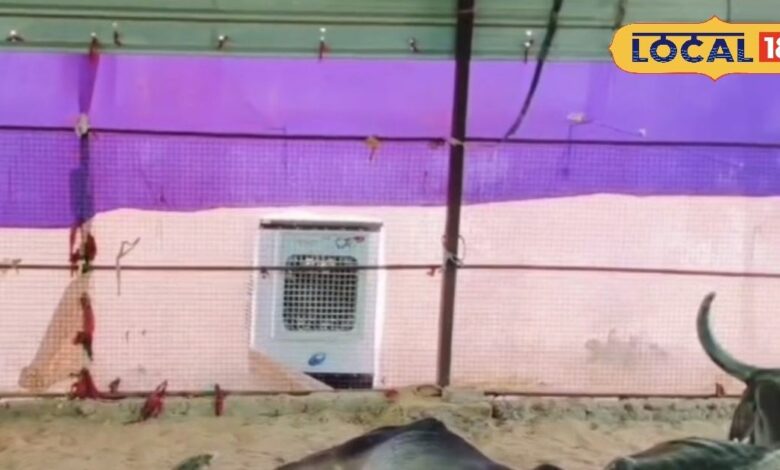 Commendable step of Gau Raksha Seva Sansthan Arrangement cooling for cows