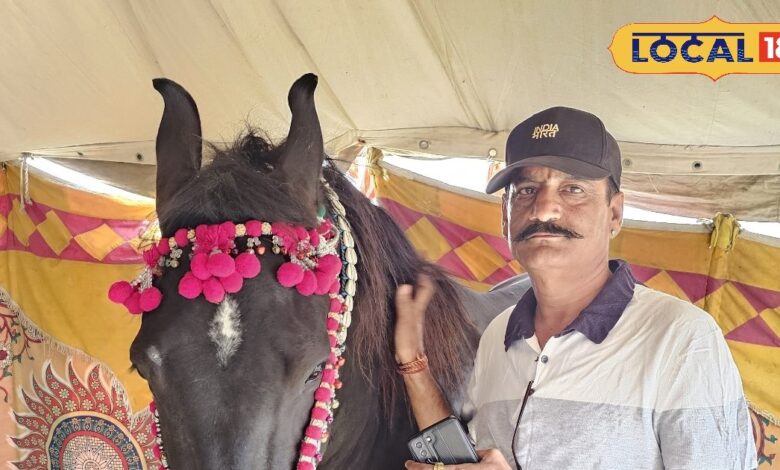 OMG unique horse Shyam 1 crore rupees price know specility