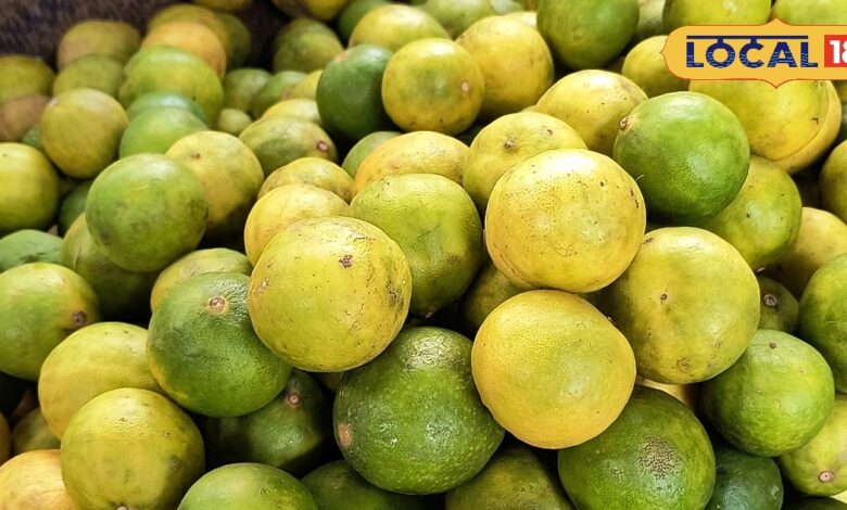 Lemon Price Hike: नींबू ने लोगों के दांत किए खट्टे , आसमान छू रहे भाव, लोगों ने बनाई दूरी
