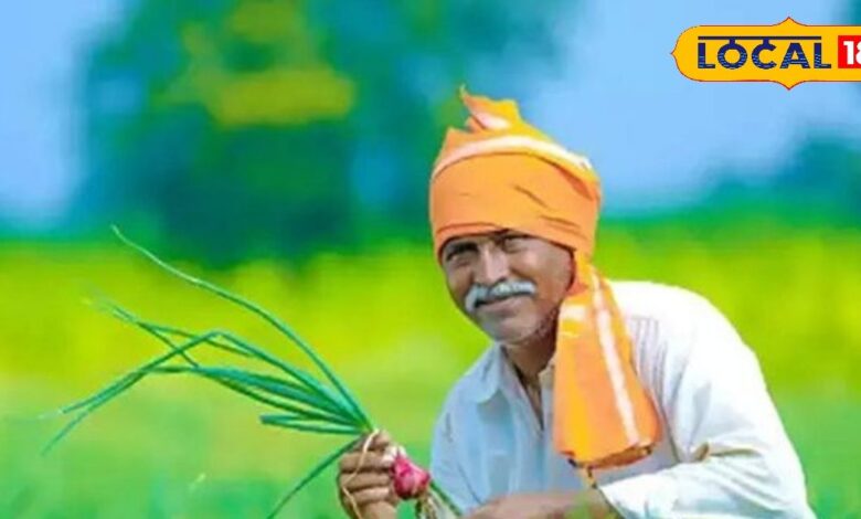 Mustard Procurement: सरकार ने बढ़ाई सरसों MSP खरीद की सीमा, अब 40 क्विंटल की होगी खरीद, 30 जून तक है समय