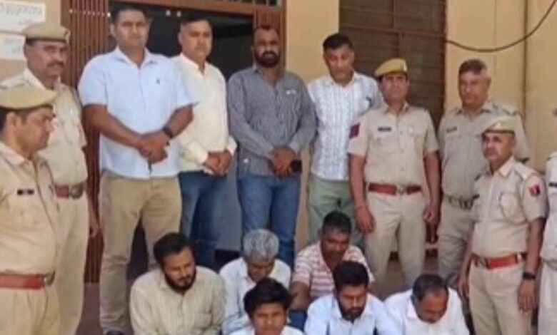 मिलावटखोरों ने नकली सरसों भी बना डाली, करोड़ों रुपये का कर गए घपला, राज खुला को सन्न रह गए अधिकारी